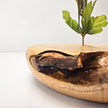 Maple Vase