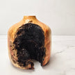 Box Elder Vase