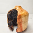 Box Elder Vase